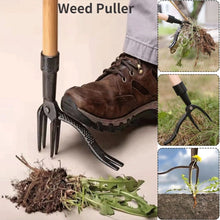 Load image into Gallery viewer, Dotmalls Weed Puller
